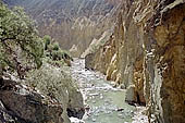 Colca Canyon